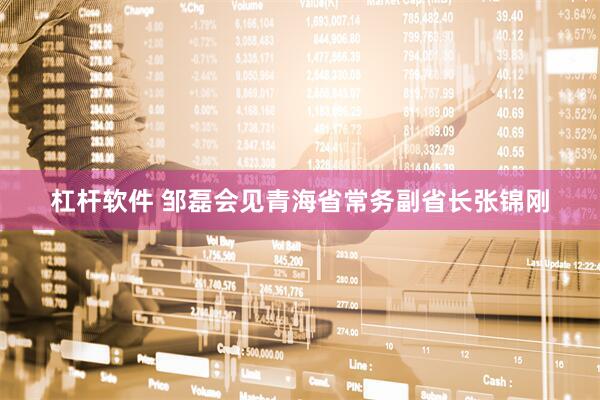 杠杆软件 邹磊会见青海省常务副省长张锦刚