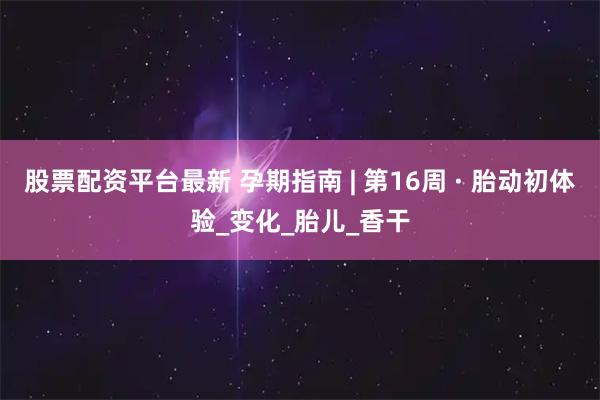 股票配资平台最新 孕期指南 | 第16周 · 胎动初体验_变化_胎儿_香干